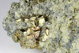Pyrite Crystals in Matrix - Nærsnes, Norway #177279-4